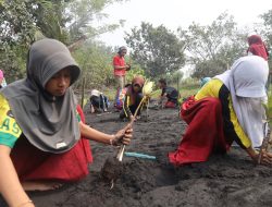 PLN UIP MPA Ajak Generasi Muda Jaga Ekosistem Pantai Wauwo